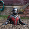 キャステル 【マーベル映画】続編「アントマン3」最新情報！あらすじ・キャスト・公開日まとめ！