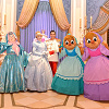 キャステル 【ディズニーランド】シンデレラ情報まとめ！プロフィール・ガラスの靴・会える場所！トリビア＆豆知識も！