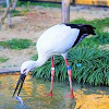 キャステル のんほいパークの料金を徹底解説！入園料、アトラクション料金、博物館の料金は？入園料の割引情報も