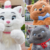 キャステル 【コロナ後】ディズニーランドのキャラクターグリーティング情報！ソーシャルディスタンスグリまとめ！