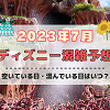 キャステル 【2023年7月】ディズニー混雑予想！空いている日・混んでいる日はいつ？夏休みの混雑は？