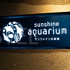 キャステル サンシャイン水族館の入場料金はいくら？当日券＆割引サービスまとめ！年パスの特典も！