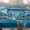 キャステル 八景島シーパラダイスの水族館はジンベエザメに注目！エリア＆開催イベントまとめ！
