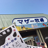 キャステル 【マザー牧場】おすすめの宿泊施設はココ！グランピング、子連れ向け、ペットOKのホテルなど