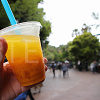 キャステル 【2025】ディズニーのひんやりドリンク値段＆販売場所まとめ！暑い夏のパークにおすすめ