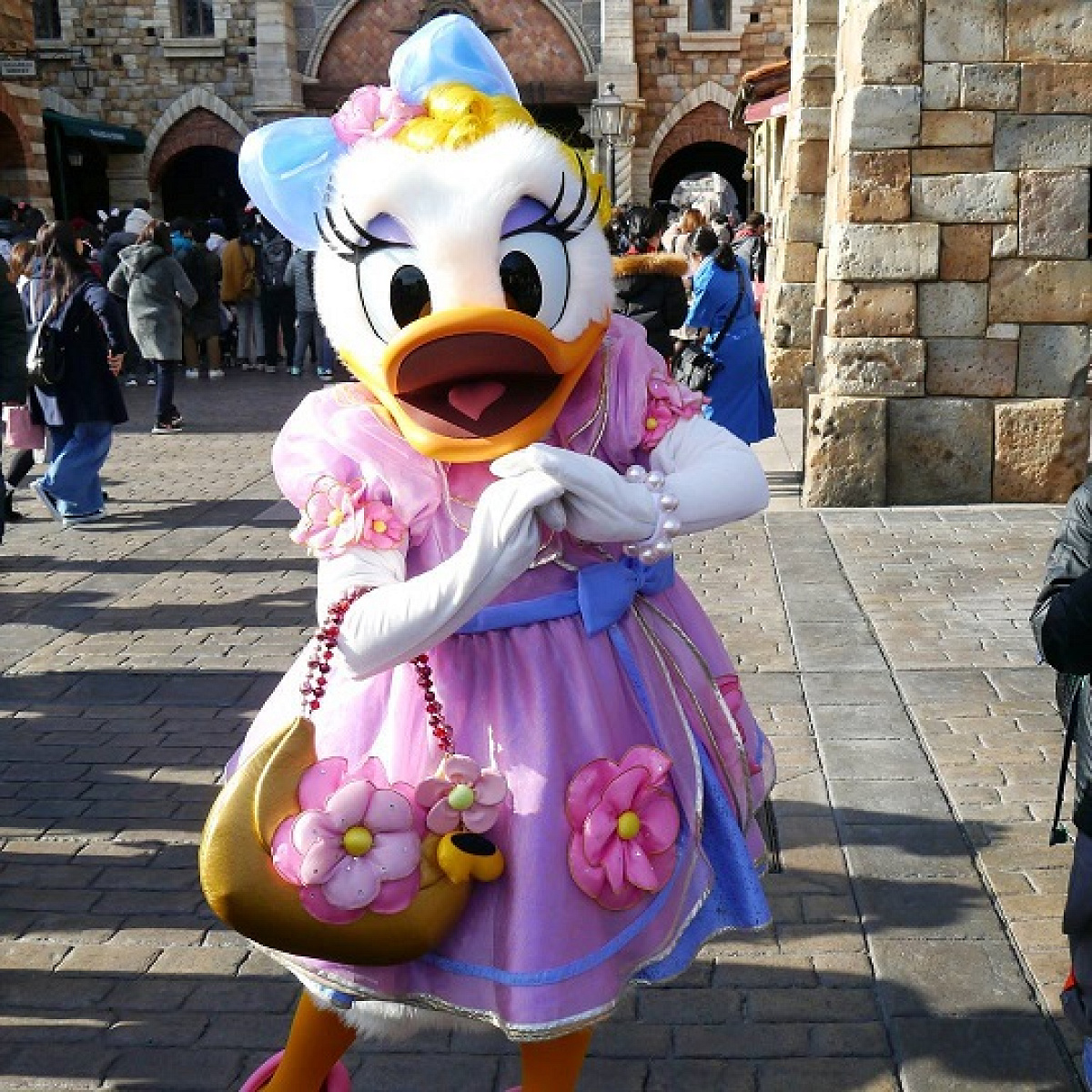 デイジーダック| キャステル | CASTEL ディズニー情報