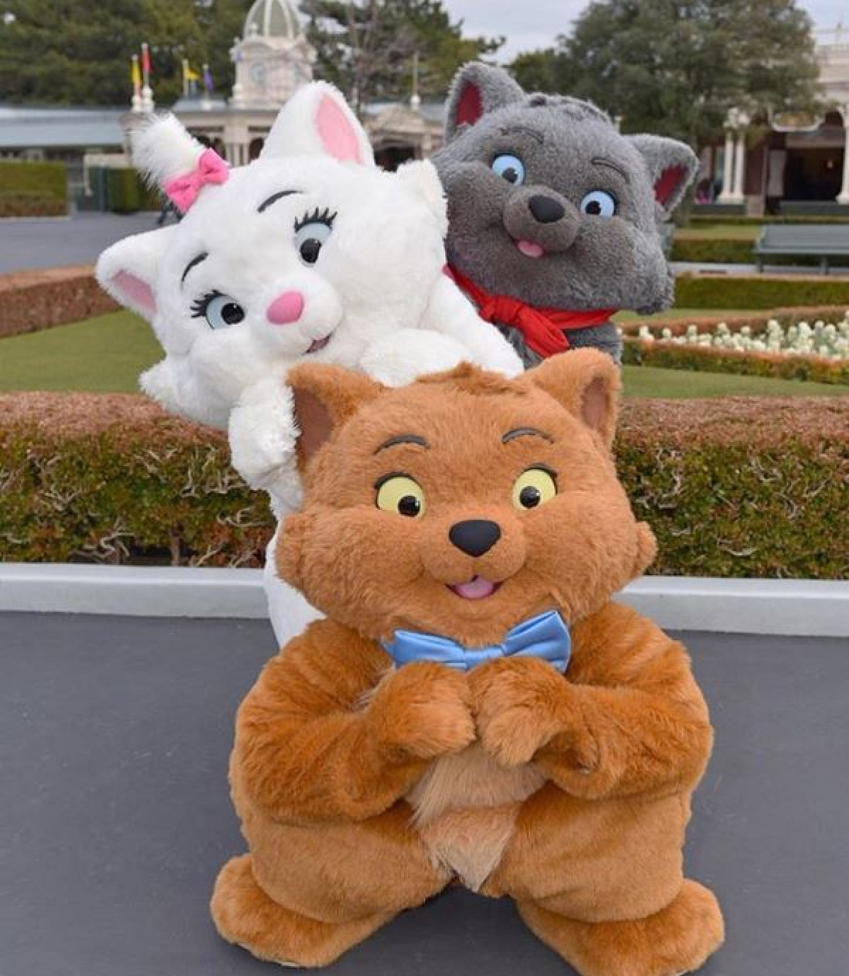 おしゃれキャット| キャステル | CASTEL ディズニー情報