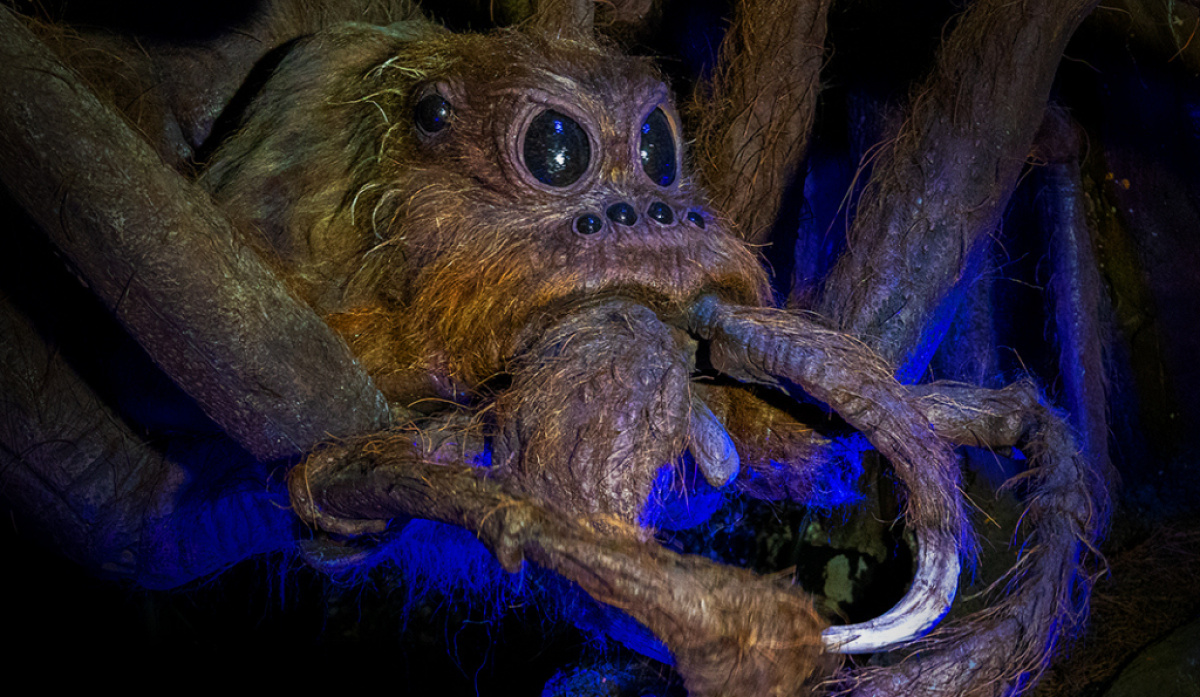 ハリポタ映画：アクロマンチュラはどんな魔法生物？