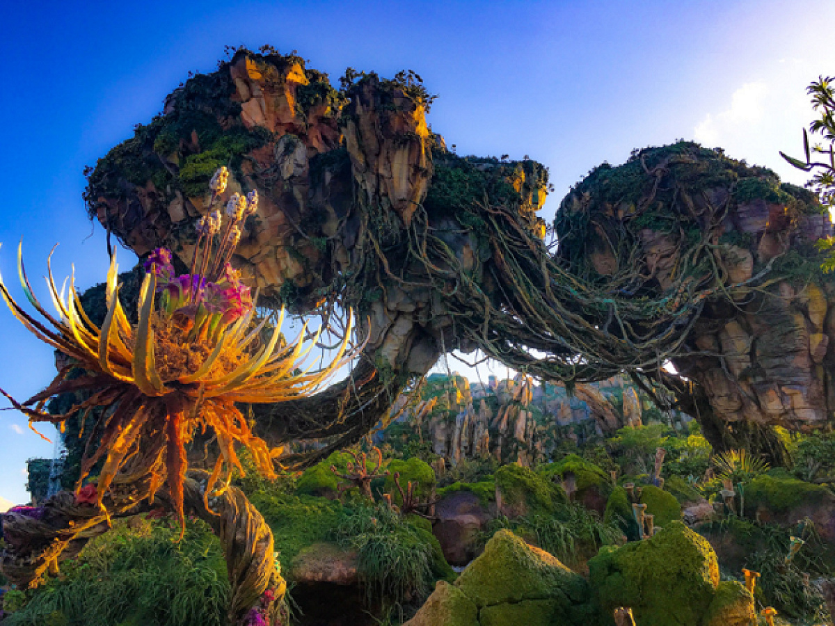 アバター」の世界が再現されたパンドラ| キャステル | CASTEL