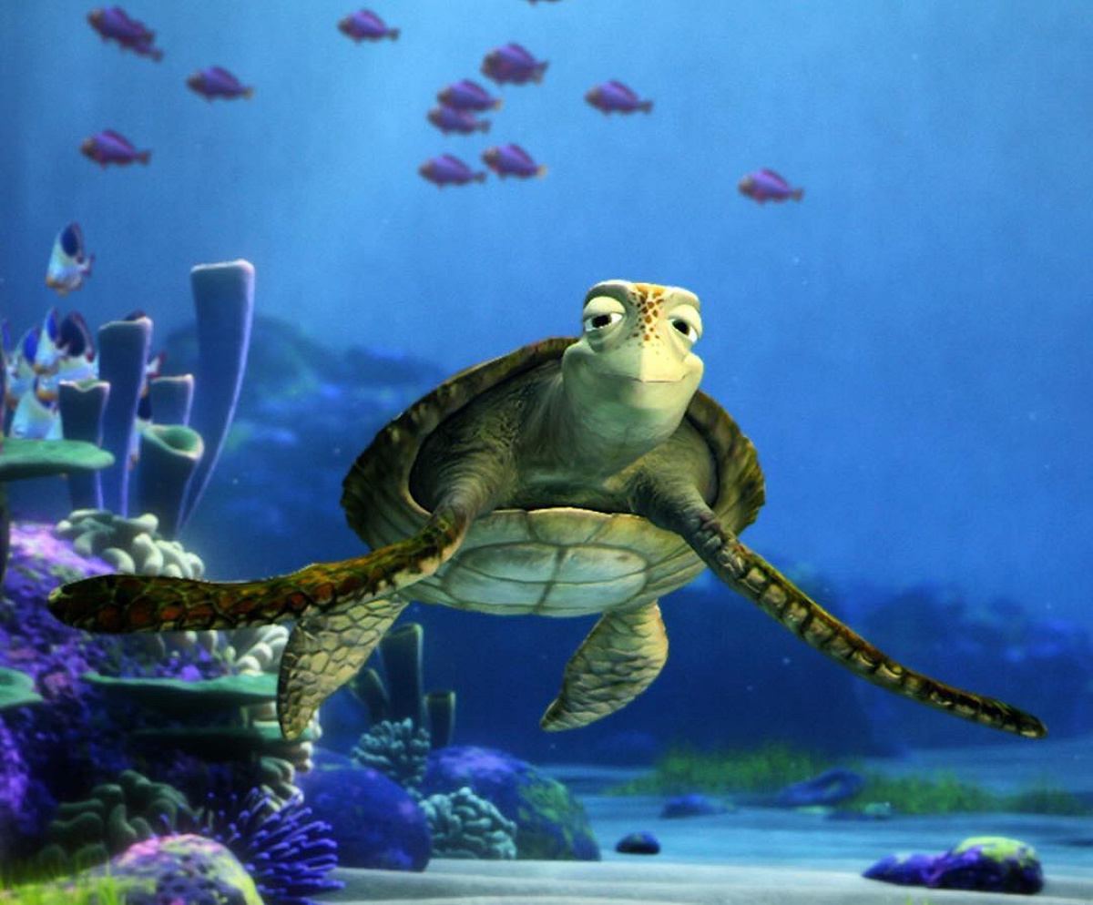 エキセントリックジョイント ティニークラッシュ エキセントリック