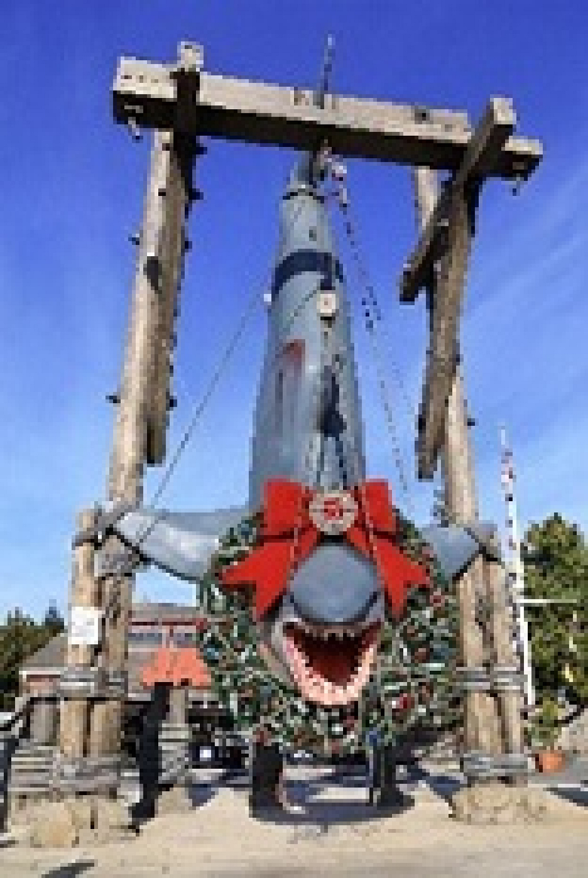 シャークにクリスマスリースの装飾が！