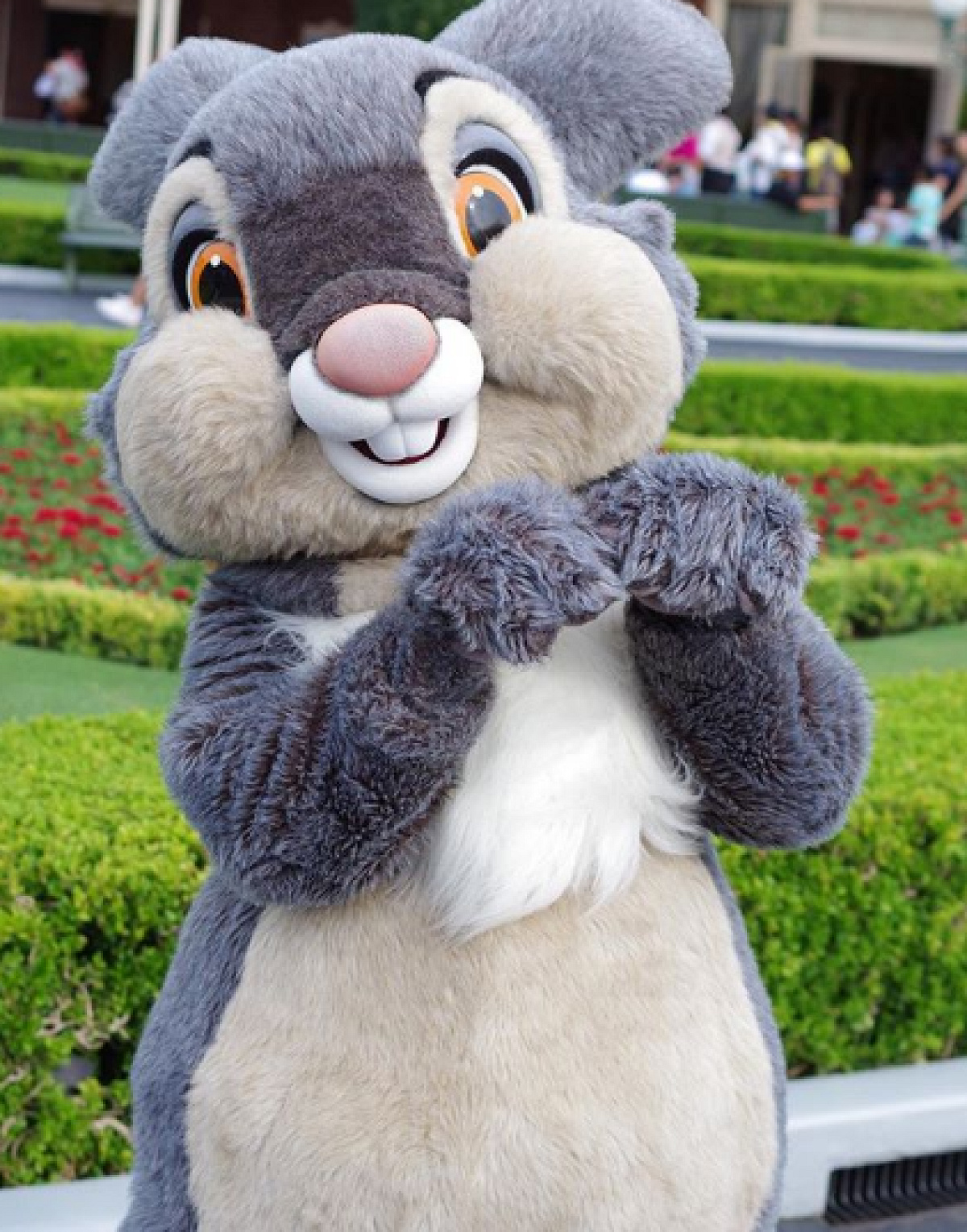 とんすけ| キャステル | CASTEL ディズニー情報