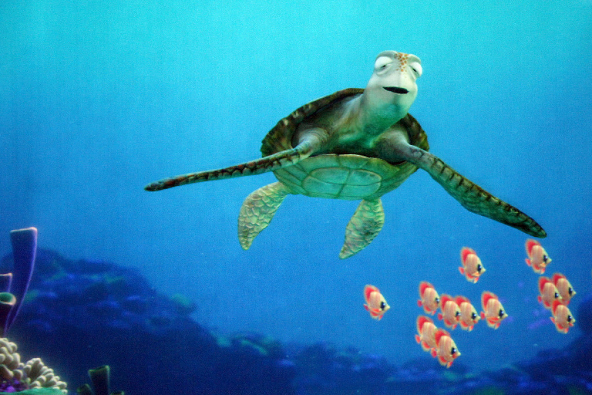 クラッシュの正体は？！| キャステル | CASTEL ディズニー情報