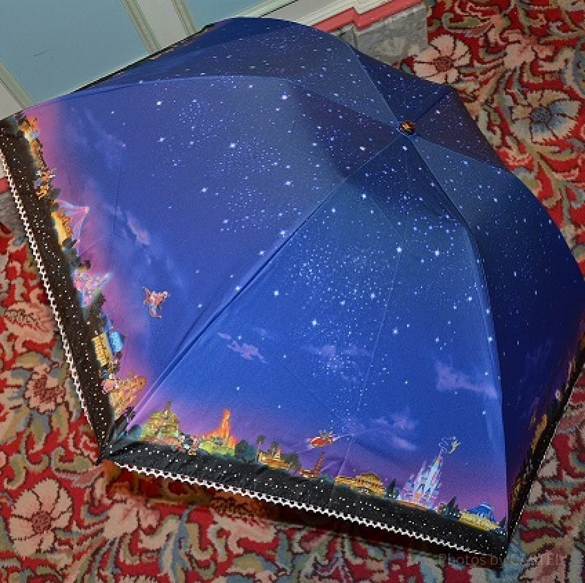 パークで販売されているすてきなデザインの傘