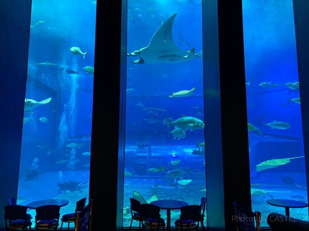 美ら海水族館のカフェ「オーシャンブルー」