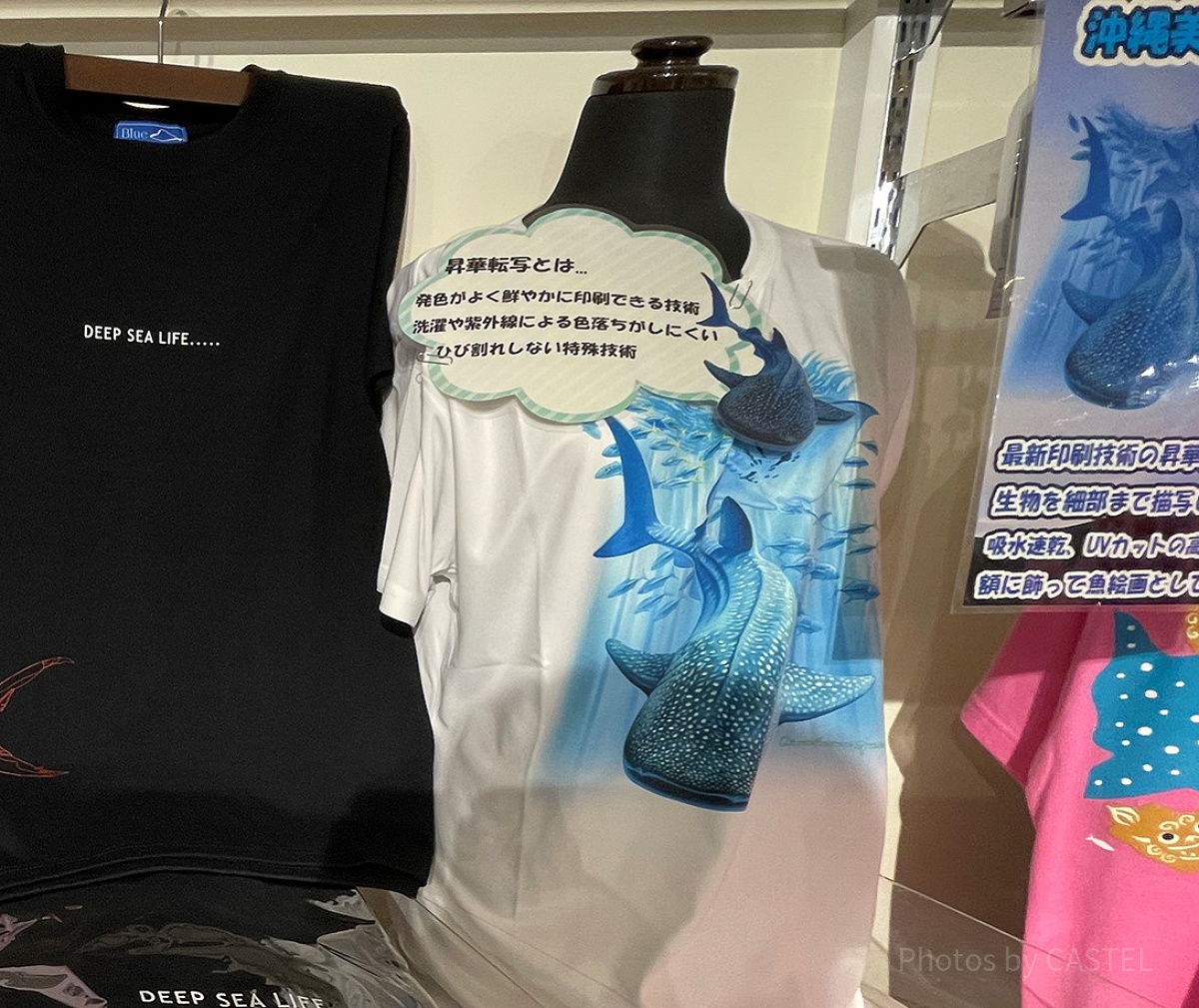 美ら海水族館「黒潮の海」Tシャツ