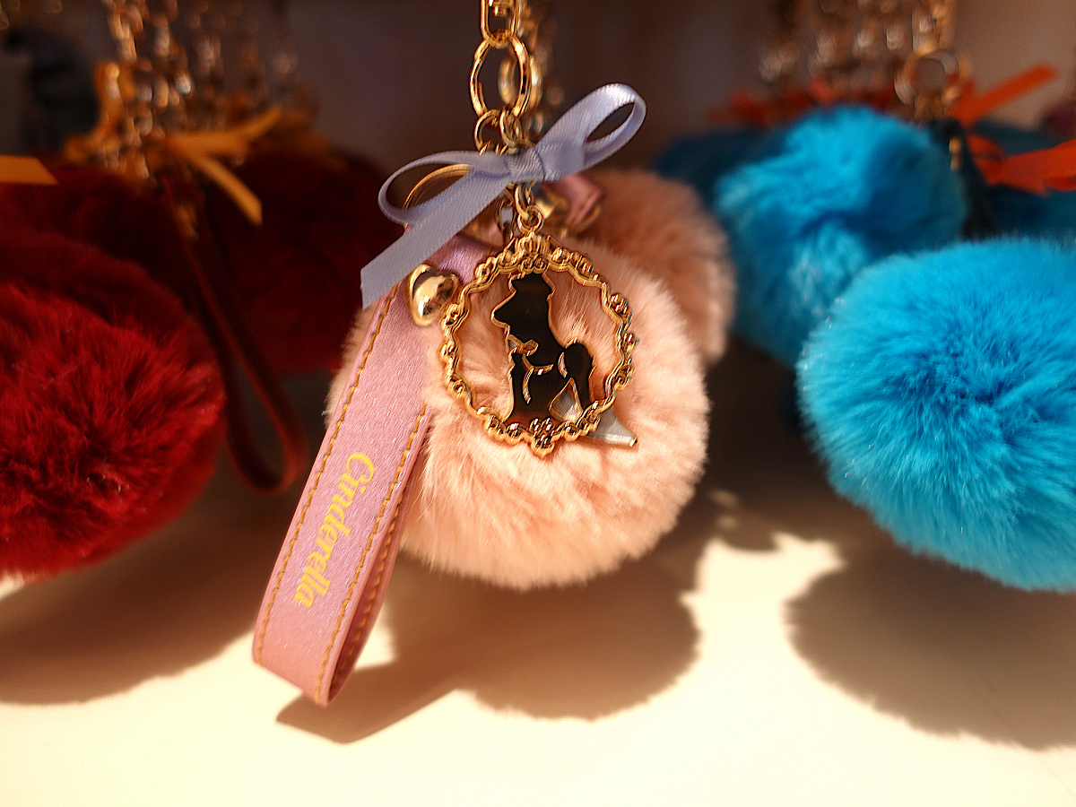 東京ディズニーリゾート ウェアドリームズカムトゥルー キーチェーン