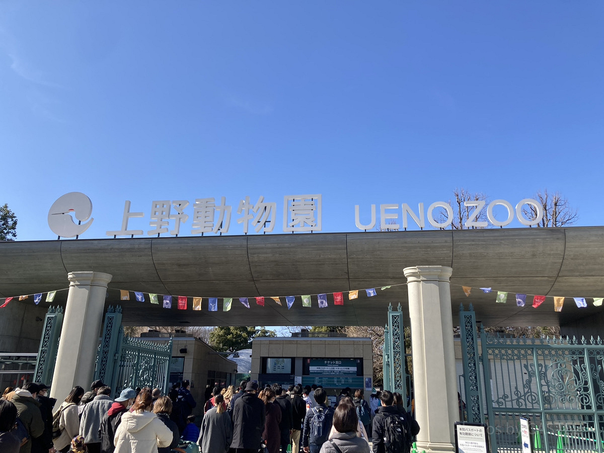 上野動物園の混雑