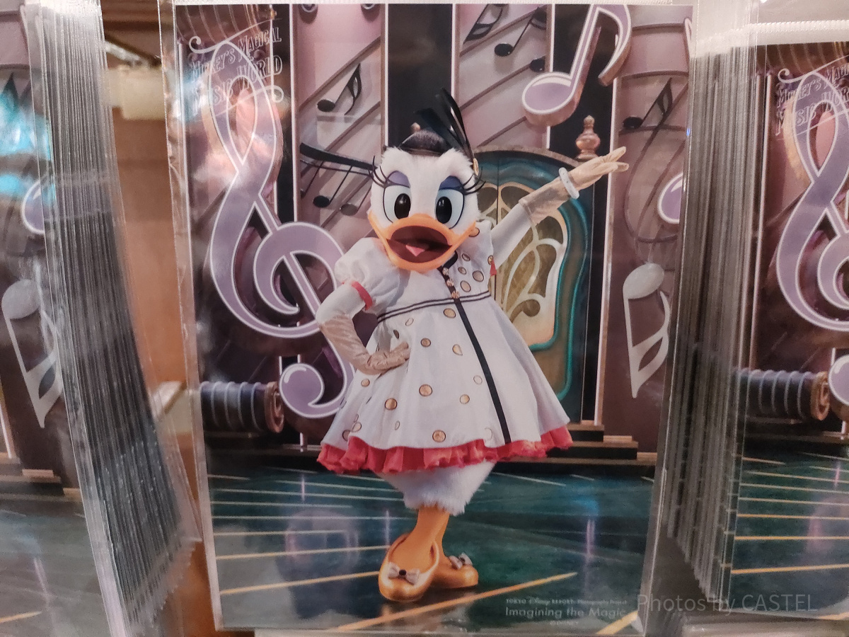 ディズニーイマジニングザマジックグッズ：デイジーの写真| キャステル