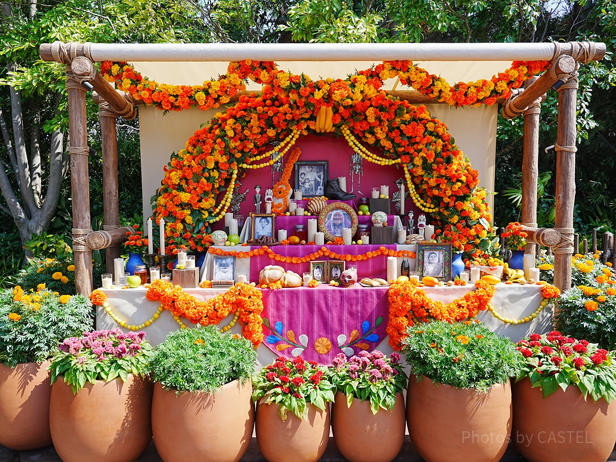 ラソス・デ・ラ・ファミリアのデコレーション