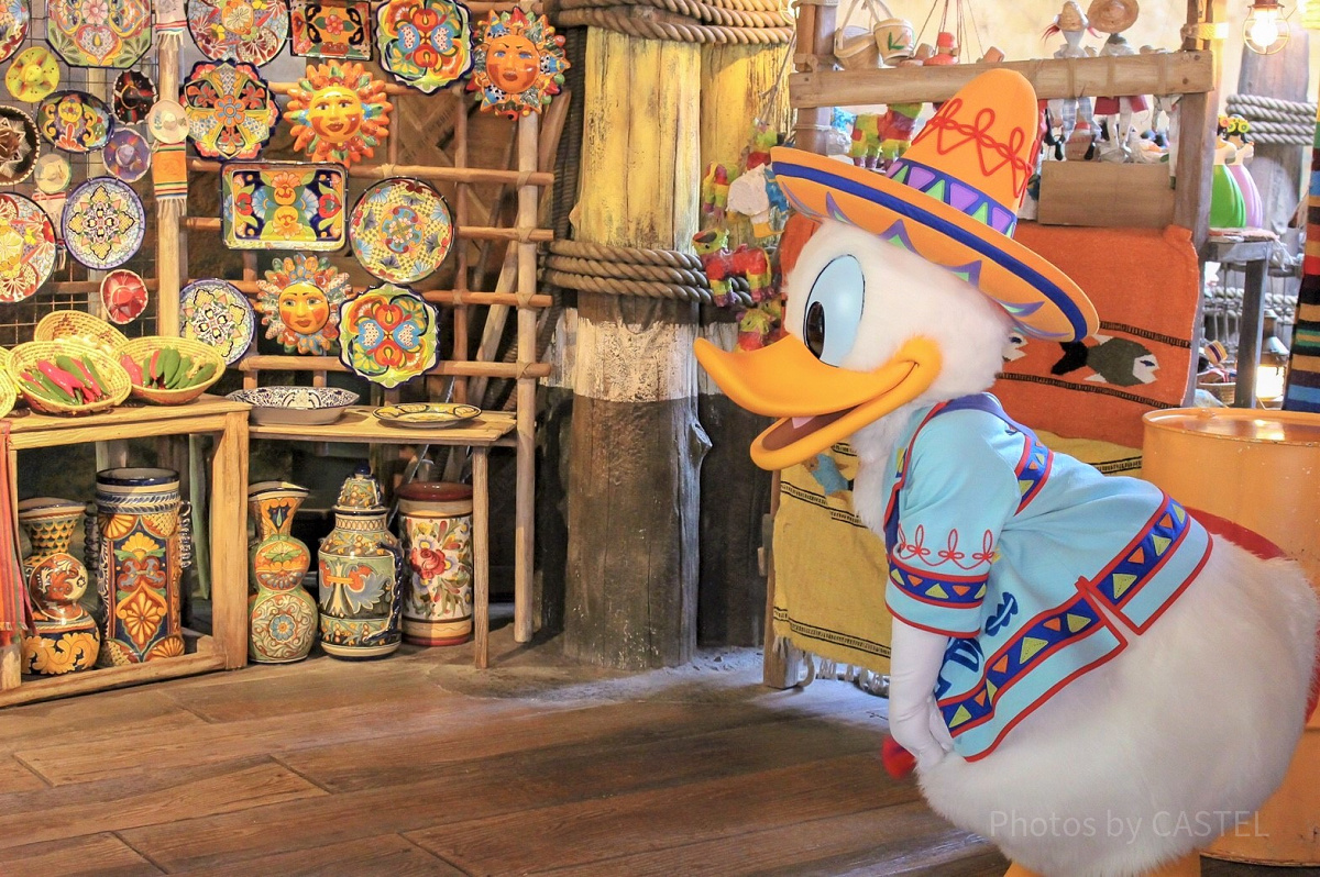 ドナルドダック| キャステル | CASTEL ディズニー情報