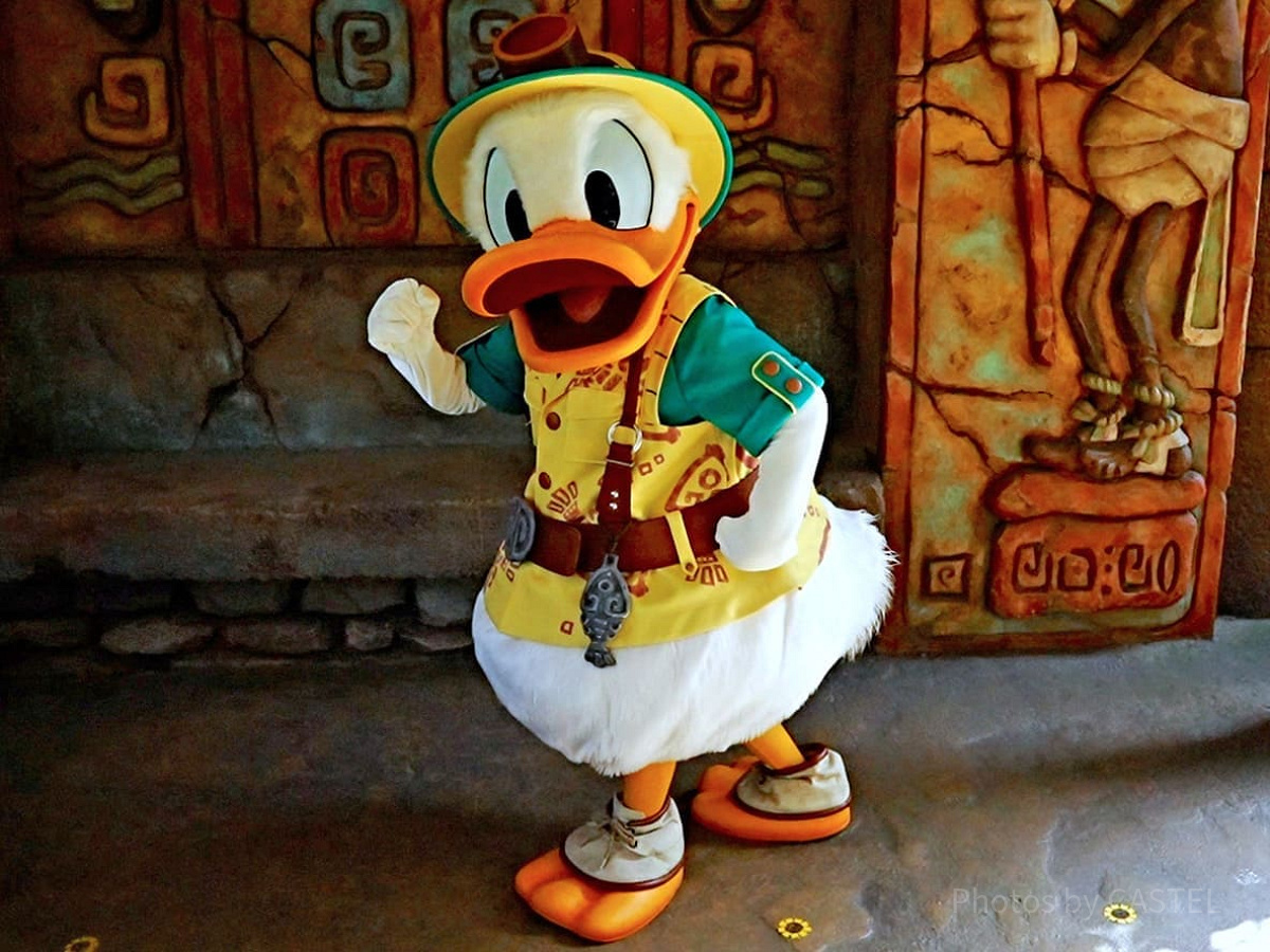 ロストリバーデルタのドナルド