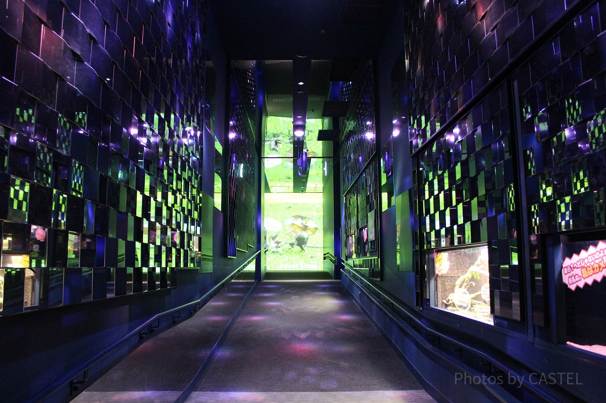 幻想的な万華鏡トンネル