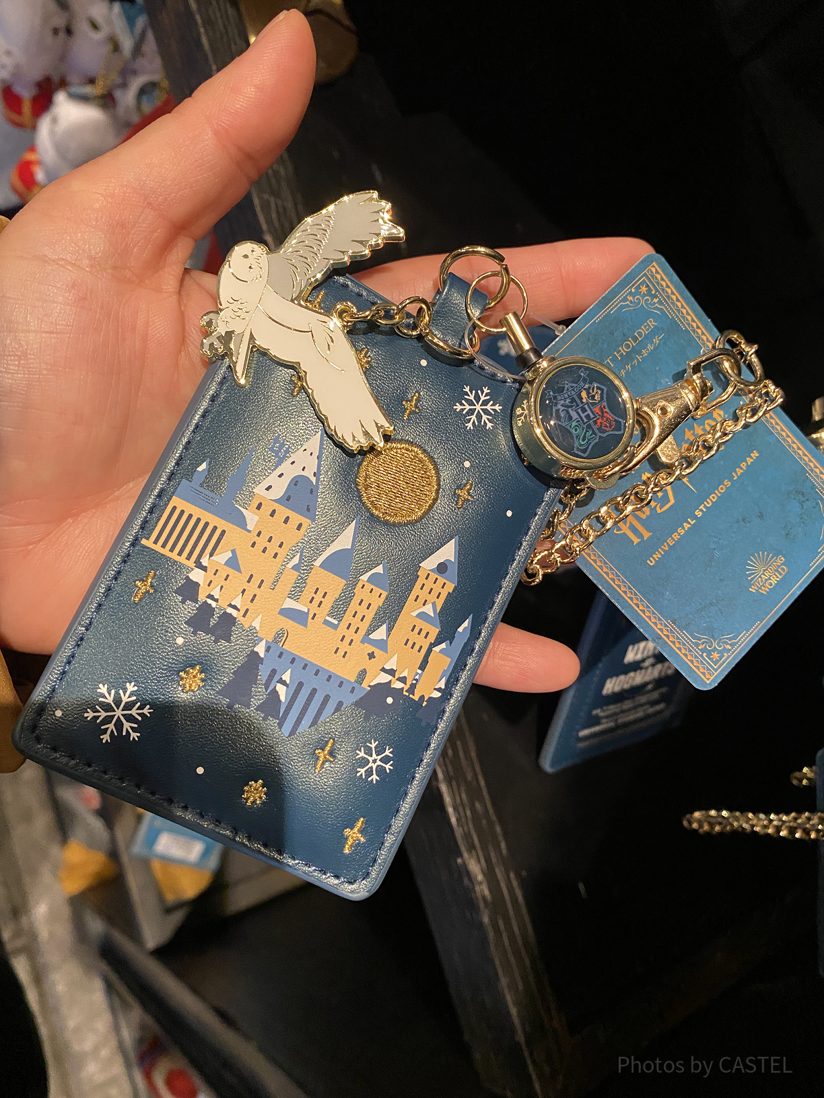 USJハリーポッター2024-2025冬グッズ：チケットホルダー（表