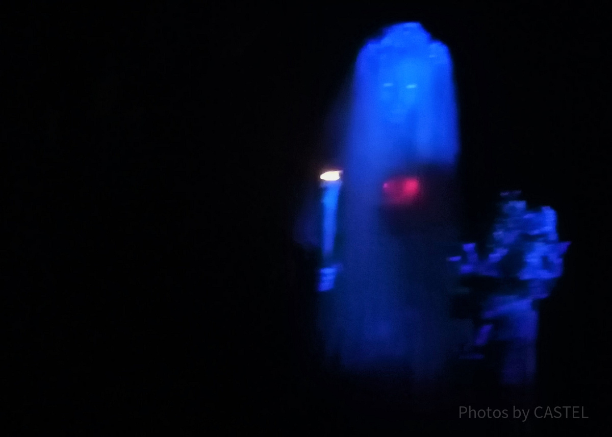 ホーンテッドマンション：花嫁| キャステル | CASTEL ディズニー情報