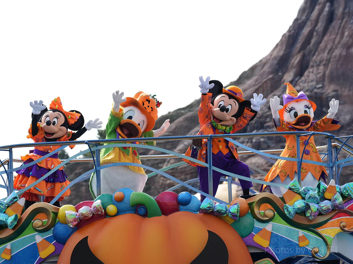 お昼のハーバーショー（イメージ）