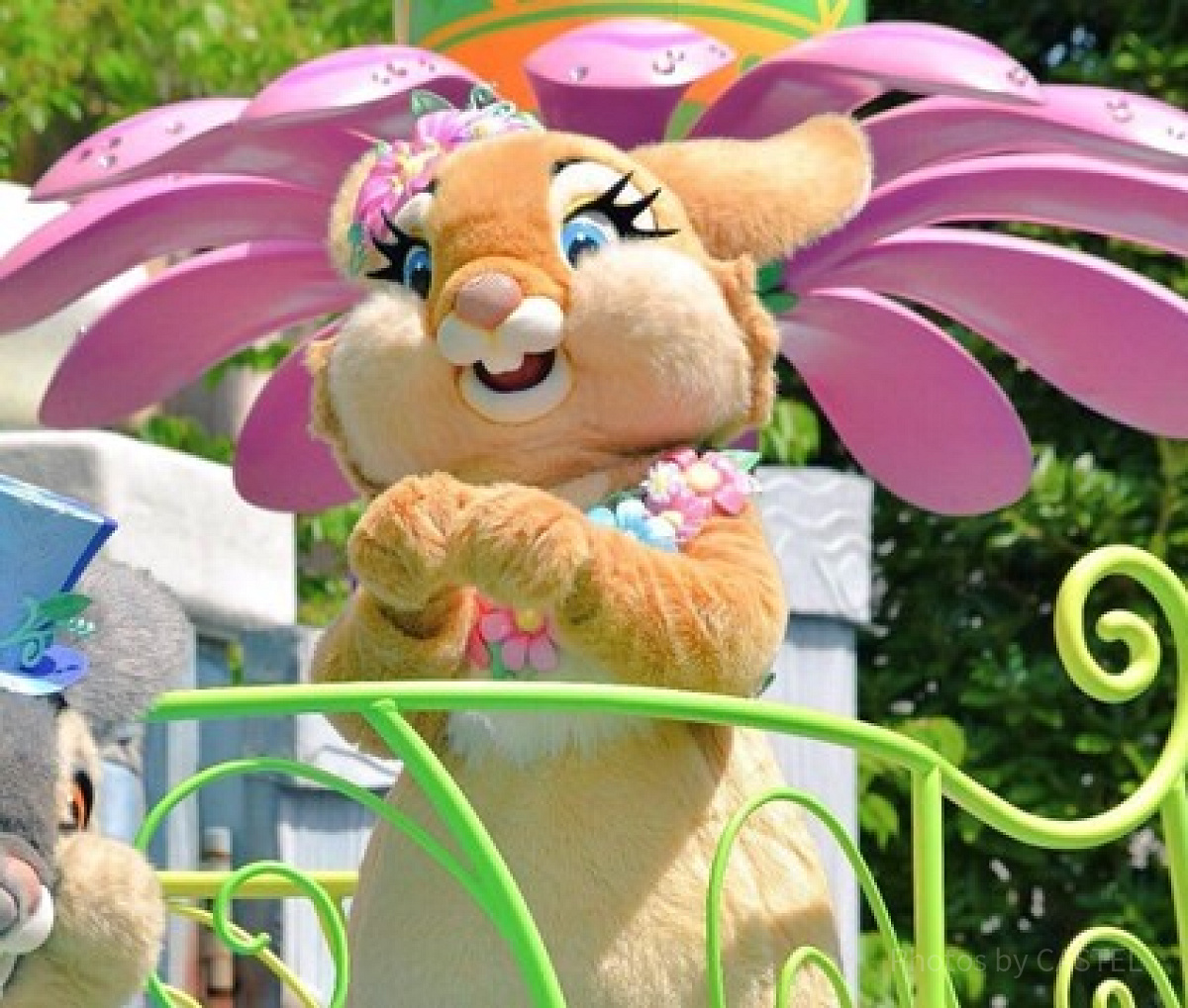 激レア　Disney minnie mouse miss bunny ミス・バニー| キャステル | CASTEL ディズニー情報