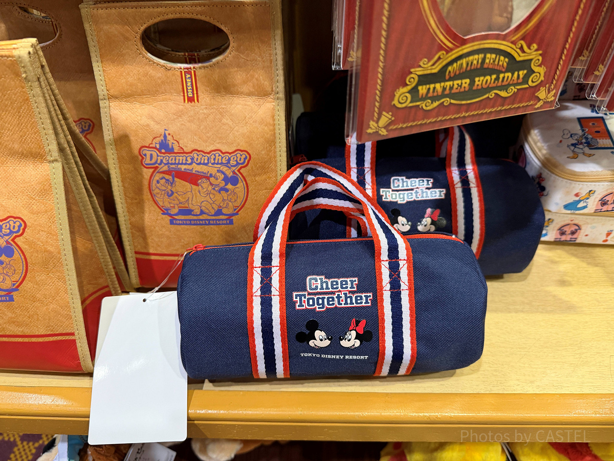 ペンケース(ディズニーチアダンスグッズ)