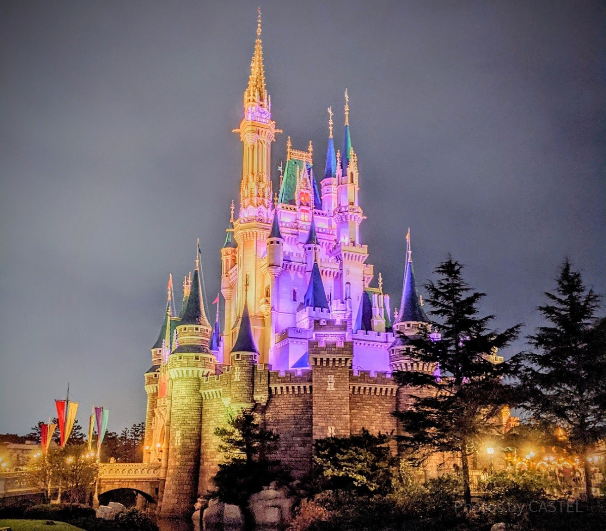 横から見たシンデレラ城| キャステル | CASTEL ディズニー情報