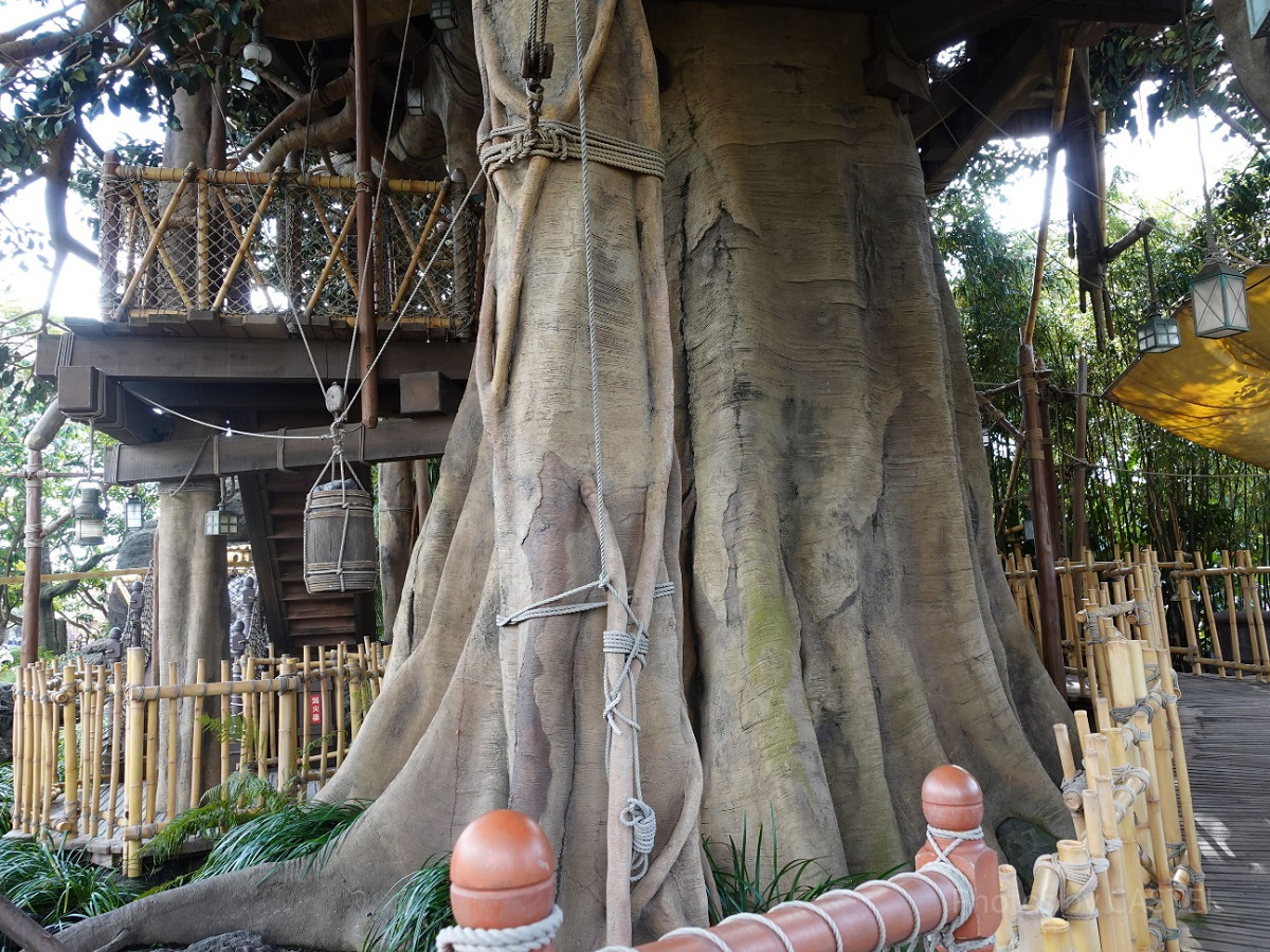 スイスファミリー・ツリーハウス：大木の幹