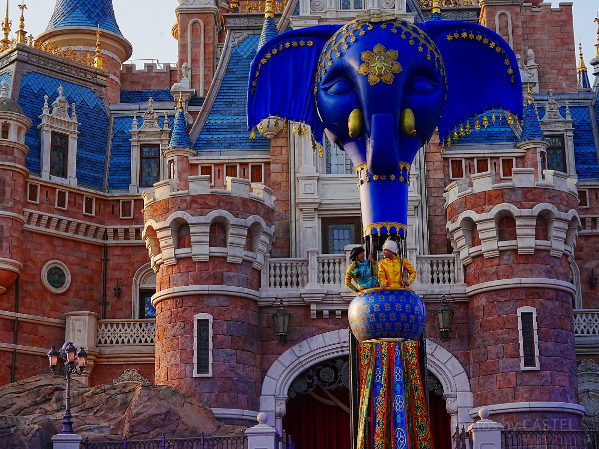 中央の上段から2人そろって登場です。