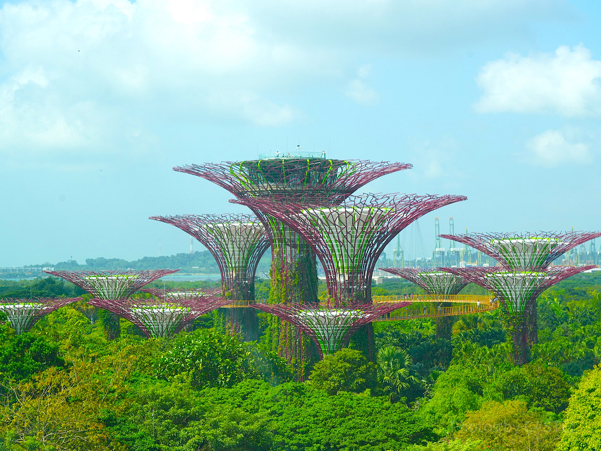 ガーデンズ・バイ・ザ・ベイ