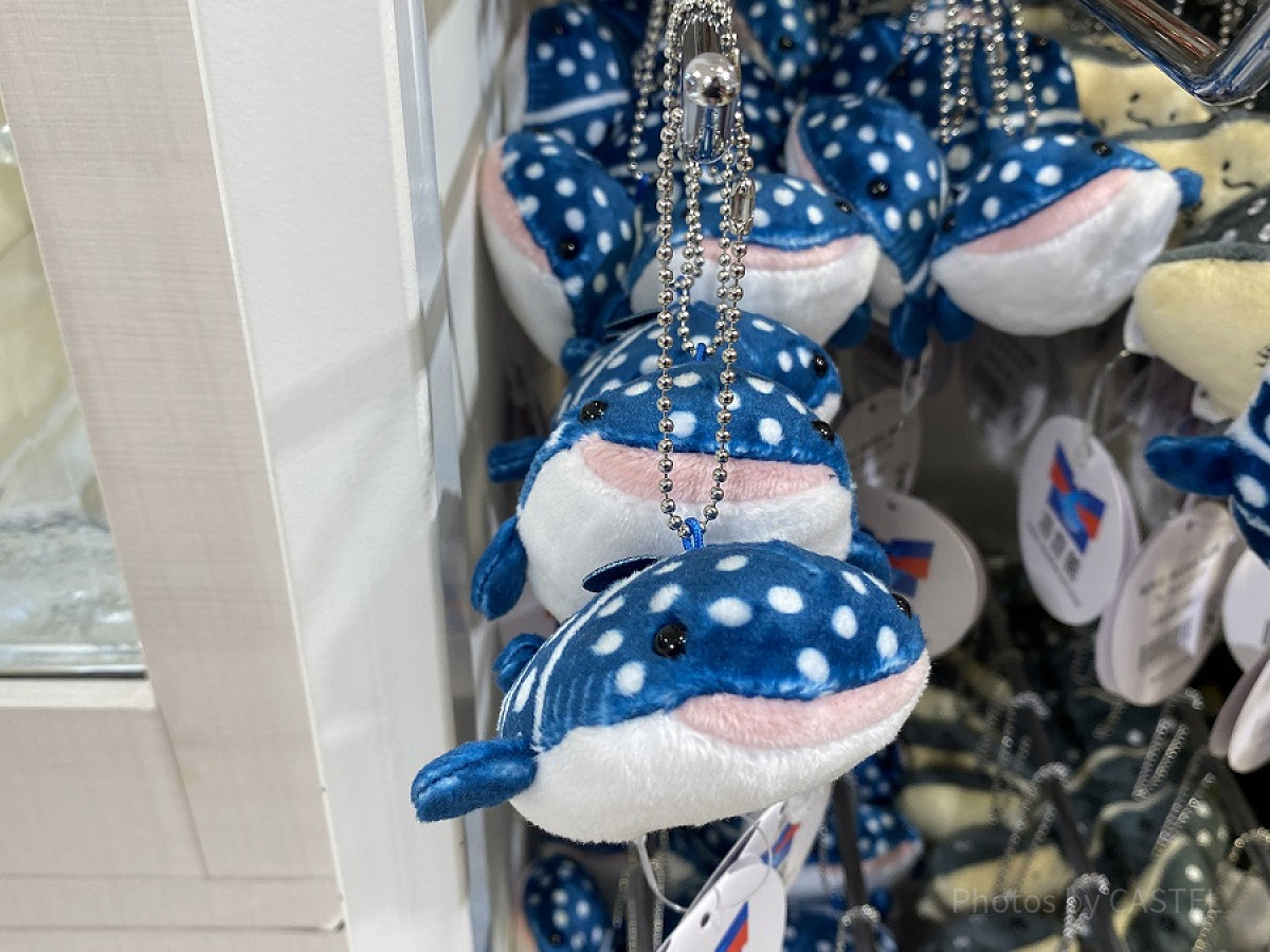 ジンベエザメのキーチェーンマスコット（海遊館）| キャステル