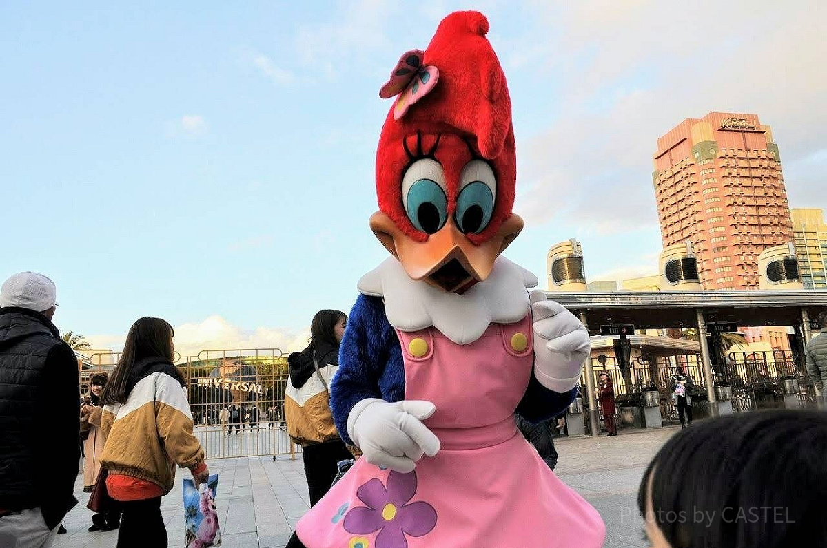 USJ　ウッドペッカー グリーティング中のウィニー・ウッドペッカー／USJ| キャステル