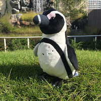 【サンシャイン水族館】オリジナルお土産&限定グッズ!ペンギンぬいぐるみやお菓子など7選まとめ!
