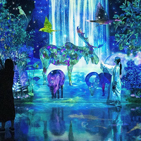 【2025】チームラボフォレスト福岡のチケット割引方法まとめ！