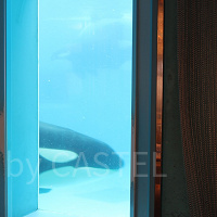 【鴨川シーワールド】食事におすすめレストラン11選！持ち込みOK、周辺やホテルのレストランも