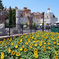 【2026夏】ディズニー熱中症まとめ！暑さ対策グッズ紹介も！