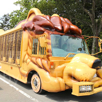 【2024】富士サファリパーク割引方法10選!公式割引・会員割引・セット割引まとめ!