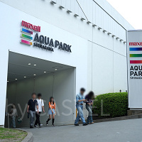 【アクアパーク品川】チケット料金はいくら？当日券、前売り券、年間パスポートを解説！
