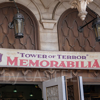 【ディズニーシー】タワー・オブ・テラー・メモラビリアを解説！バックグラウンドストーリー＆グッズも！