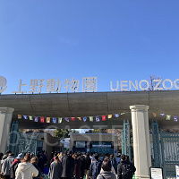 【2025】上野動物園の料金はいくら？1日チケット料金・年間パスポート・無料で入場できる日まとめ！