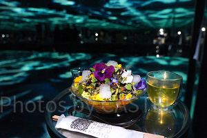 キャステル チームラボプラネッツ豊洲の最新情報まとめ！ランの作品やヴィーガンラーメン登場中！