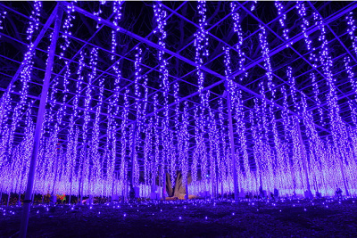 光の花の庭