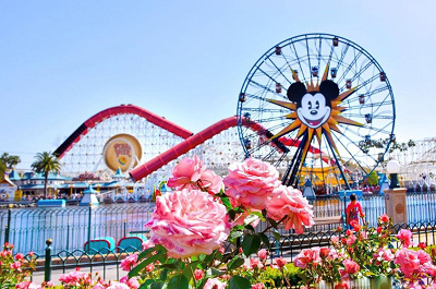 アナハイムディズニー