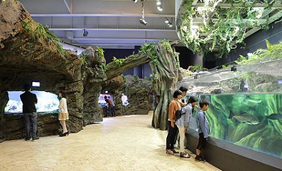 アクアジャングル